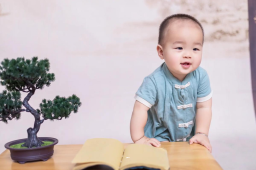 张掖可爱的企鹅宝宝